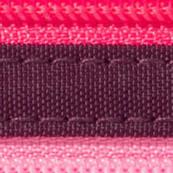RFID Currency Organizer Wristlet